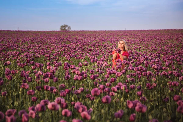 Gyönyörű boldog nő hosszú haj piros ruhában magányos séta az orgona mák virágos mező — Stock Fotó
