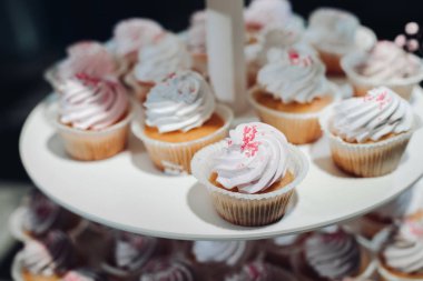 Tabakta servis edilen tatlı ve lezzetli keklerin seçici odağı.