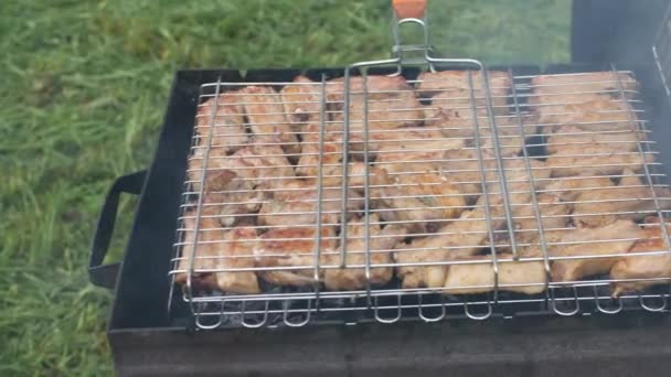 Delicious meat cooked on grill for a company. — Stock Video