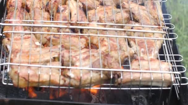 Grillad kyckling på grill. Brända träkol till grill. — Stockvideo