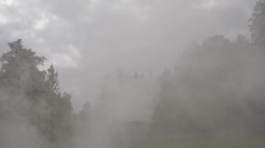 Dense green forest surrounded by smoke horizon with cloudly gray sky at background