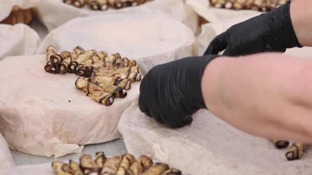 Close-up menneskelige kok hænder i handsker servering plade med appetitvækkende snack til banket – Stock-video