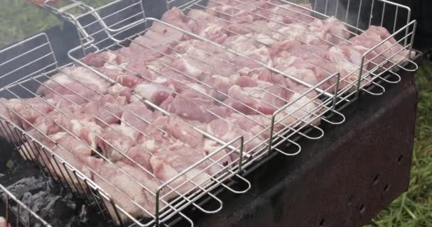 Uncooked pork meat on grill. — Stock Video