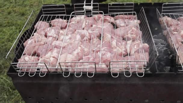 Uncooked pork meat on grill. — Stock Video