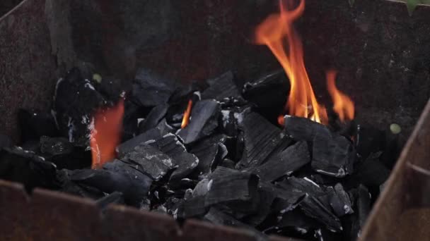 Schwarze Holzkohle in Großaufnahme verbrennen. — Stockvideo