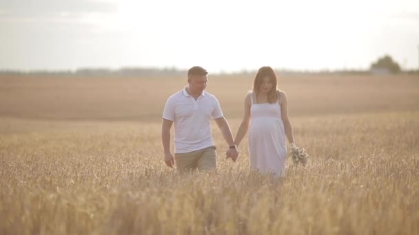 Un couple amoureux marchant dans le domaine du seigle d'or . — Video