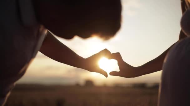 Marido sonriente y esposa embarazada posando en la luz del sol brillante — Vídeos de Stock