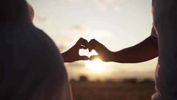 Marido sonriente y esposa embarazada posando en la luz del sol brillante — Vídeos de Stock