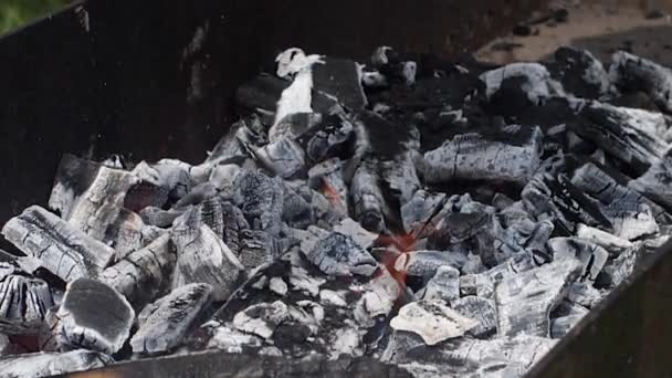 Nahaufnahme von heißen Kohlen am Lagerfeuer, umgeben von Staub und Asche Zeitlupe — Stockvideo