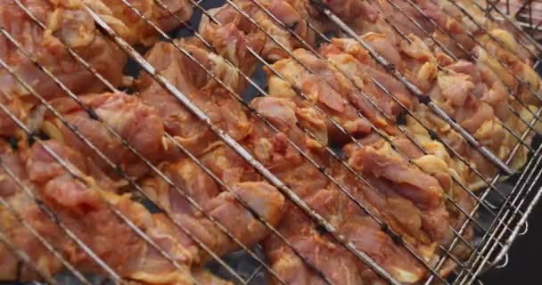 Marinaded shish kebab está fritando no braseiro . — Vídeo de Stock