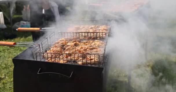 Gemarineerde shish kebab is braden op brazier. — Stockvideo