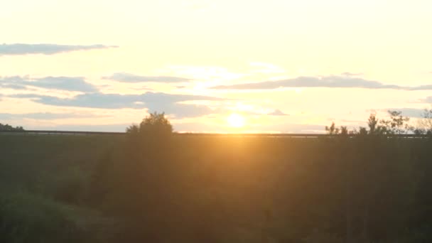 Warm evening in the countryside from car window. — Stockvideo