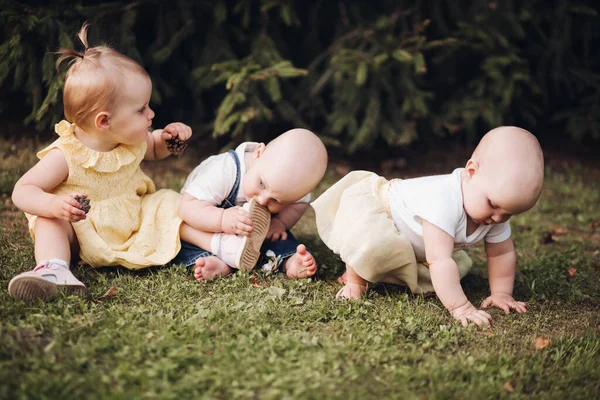 Trois petits enfants rampent sur une herbe verte et s'amusent ensemble — Photo