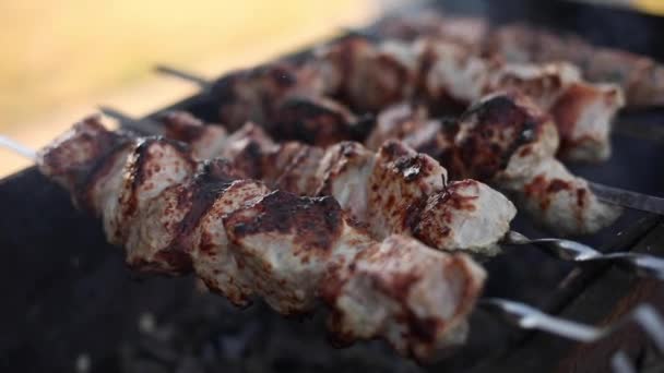 Concentre-se em um delicioso kebab suculento em espetos — Vídeo de Stock