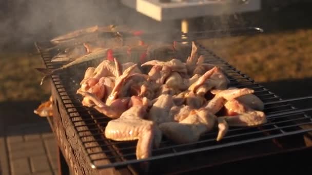 Frango grelhado no grelhador. Stock vídeo de asas de frango na grelha ao ar livre. Churrasco de verão . — Vídeo de Stock