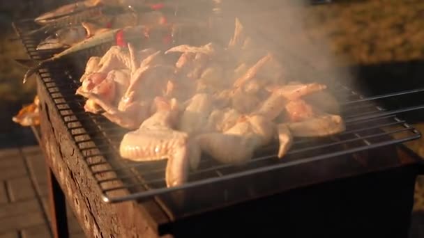 Frango grelhado no grelhador. Stock vídeo de asas de frango na grelha ao ar livre. Churrasco de verão . — Vídeo de Stock