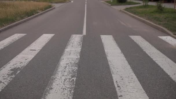 Сексуальна жінка переходить дорогу на перехресті . — стокове відео