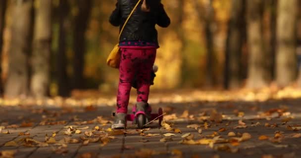 Красивая маленькая девочка в черной куртке улыбается и радуется в осеннем парке со скейтбордом — стоковое видео