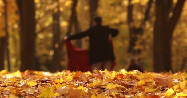 Un uomo forte cresce un velo rosso nel parco per la sua ragazza — Video Stock