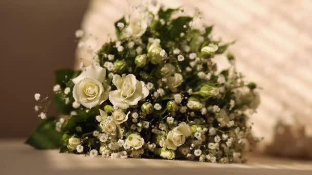 Hermosas flores blancas en el viento . — Vídeo de stock