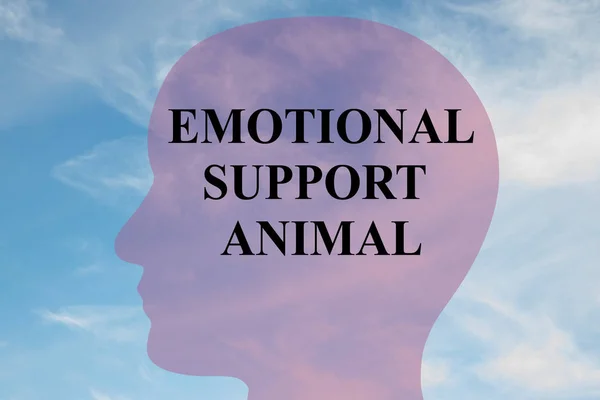 Emocjonalne wsparcie dla zwierząt tytuł — Zdjęcie stockowe