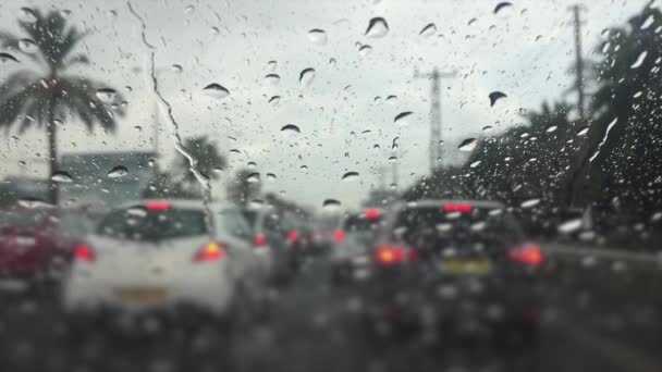 Verkeer in de regen — Stockvideo