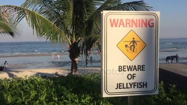 Señal de advertencia de medusas en la playa — Vídeos de Stock