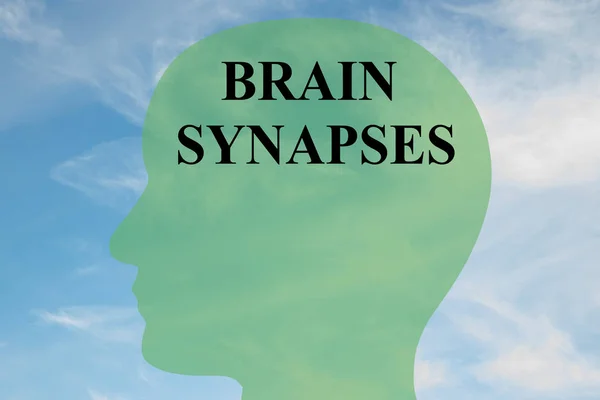 Concepto de sinapsis cerebral — Foto de Stock