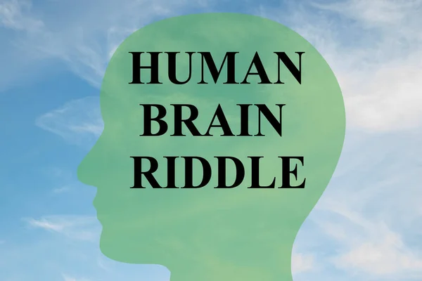 Concetto di enigma del cervello umano — Foto Stock