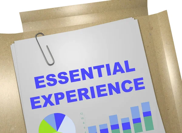 Esperienza essenziale - concetto di business — Foto Stock