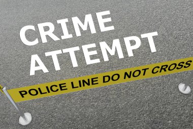 Suç girişimi kavram