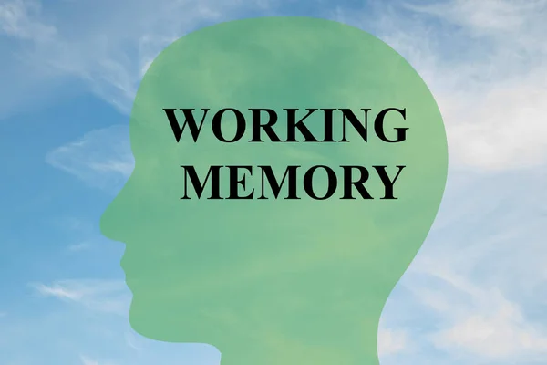 Working Memory concept