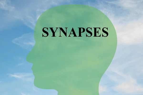 Sinapses - conceito de cérebro — Fotografia de Stock