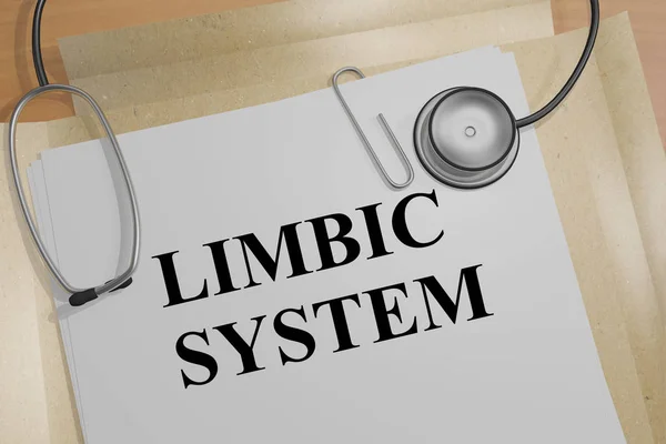 Sistema límbico - conceito médico — Fotografia de Stock