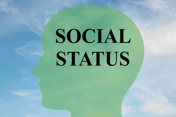 Social Status concept