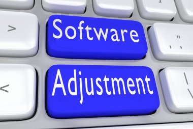 Yazılım ayar kavramı