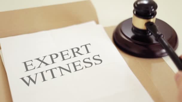 EXPERT WITNESS written on legal documents with gavel — Stock Video ©  Premium_shots #159422372