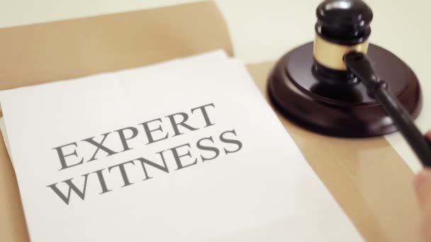 EXPERT WITNESS escrito em documentos legais com martelo — Vídeo de Stock