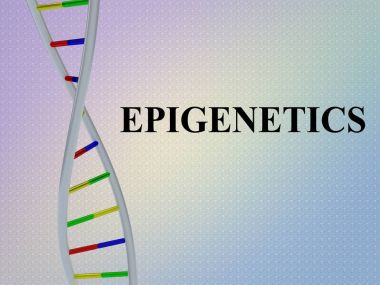 Epigenetik - genetik kavramı