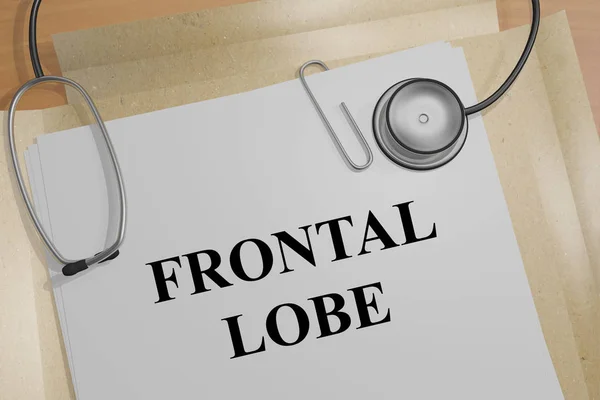 Frontal lob - tıp kavramı — Stok fotoğraf