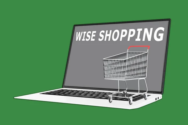 Concept de Wise Shopping — Photo