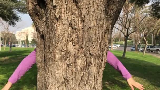 Ragazzo che abbraccia un tronco d'albero con le braccia — Video Stock