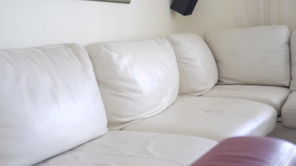 Kleinkind springt auf Sofa — Stockvideo