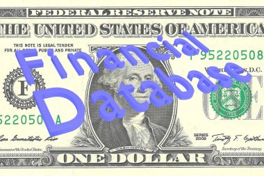 Finans veritabanı kavramı