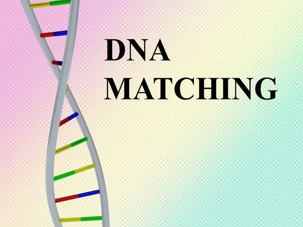 DNA Matching - genetic concept — Stock Photo, Image