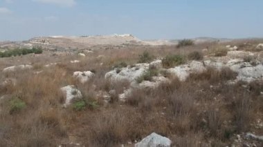 vahşi arazi üzerinde uçan hava