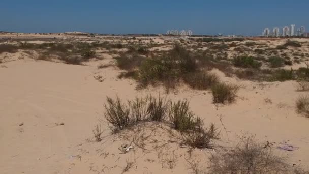 Voler sur du sable désert impur — Video