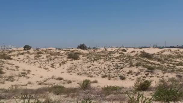 Baixa viagem tiro sobre deserto — Vídeo de Stock