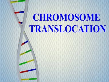 Chromosome Translocation concept clipart