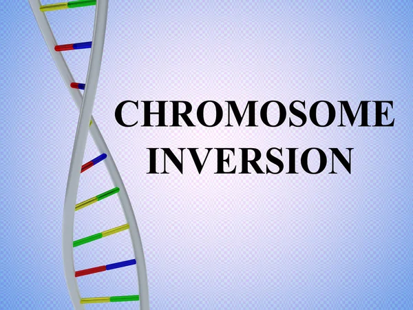 染色体の逆転のコンセプト — ストック写真